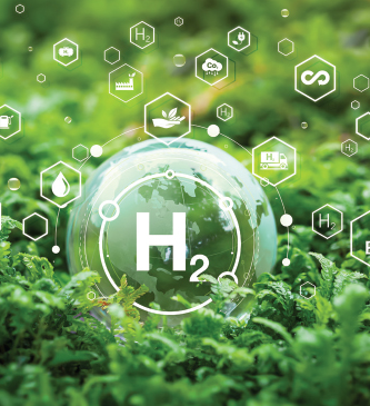 Quality Infrastructure Roadmap for Green Hydrogen: IRENA